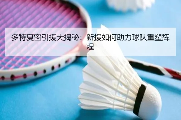 多特夏窗引援大揭秘：新援如何助力球队重塑辉煌